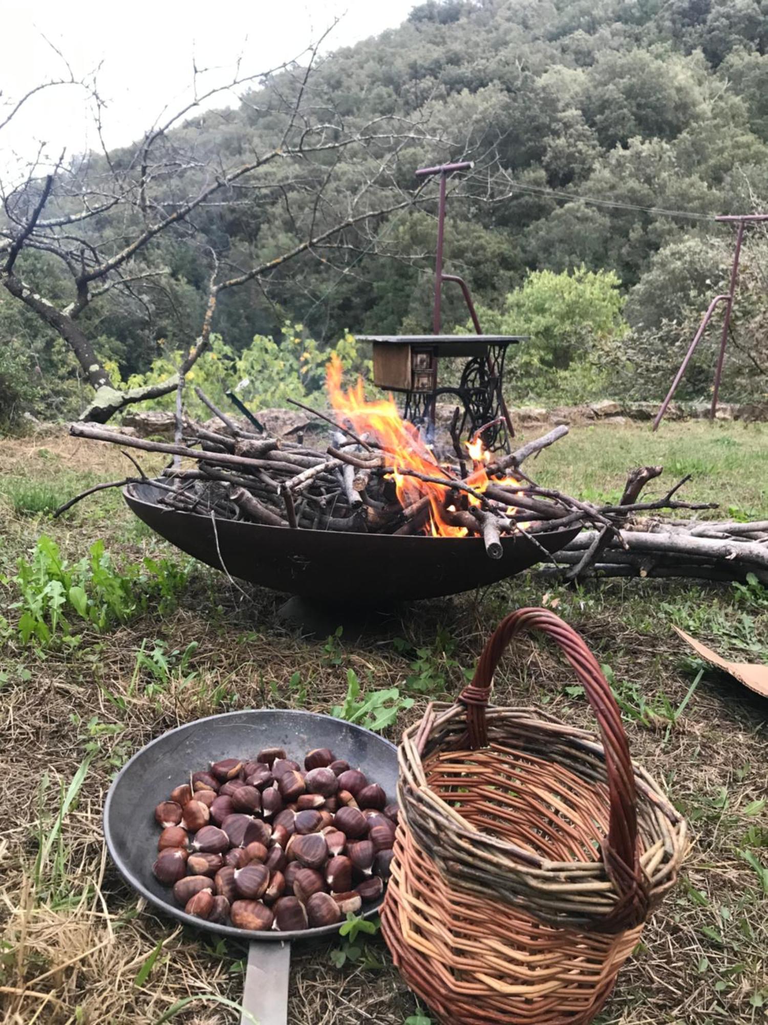 Вилла El Refugio Reynes Экстерьер фото